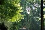 JUNE 2015 -9