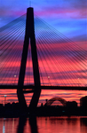 Anzac Bridge vertical