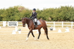 SBM_003699