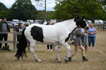 WJ6_8370