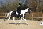 L20261031-0281