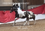 JAC_5445