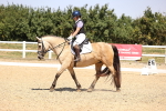 SBM_004093