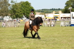 SBM_07100