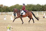 SBM_005520