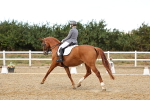 SBM_007551