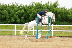 SBM_000354_Class 2 - Senior British Novice - 90cm