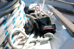 Musto gloves
