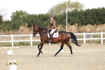 SBM_003493
