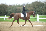 LAD_3624