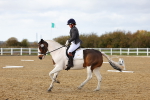 SBM_002664