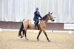 SBM_007245