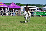 SBM_07794