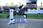 1 British Novice and 90cm Open portfolio