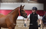 BPP_2590