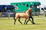 SBM_05565