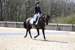 Class 5: Novice 2 2024 Section A portfolio