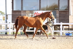 SBM_08323