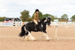 SBM_15661