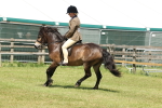 SBM_06841