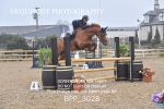 BPP_3028