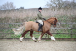 SBM_006045