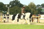 SBM_68781