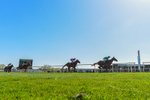 220426-Race 4-Borjina-0706