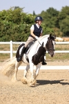 SBM_006554
