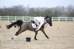 SBM_004403