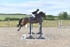BPP_1421