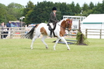 SBM_17565
