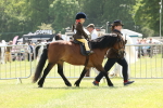 SBM_05185
