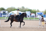 SBM_09094