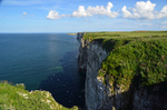Bempton Cliffs, East Yorkshire