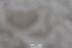 250125-131228-00593