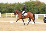 SBM_009303