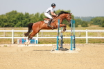 SBM_000283