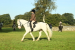 SBM_59169