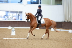 SBM_002858