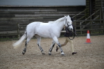 SBM_006206