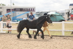 SBM_04929
