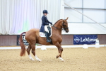 SBM_007781