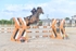 BPP_8643