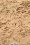 230610A-132756-03484