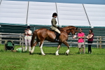 SBM_03707
