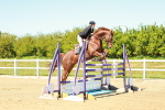 SBM_001553
