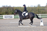 SBM_003335
