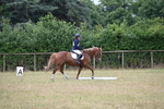 WJ6_0809