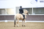 SBM_004313